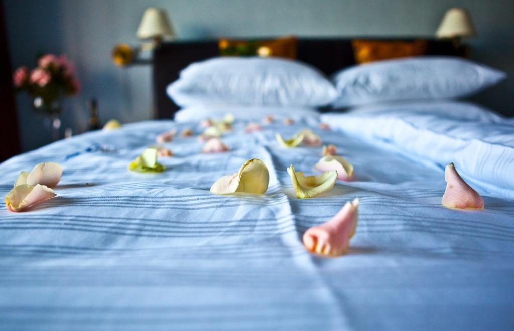 Shuma Hotel Dąbrowa Górnicza Стая снимка